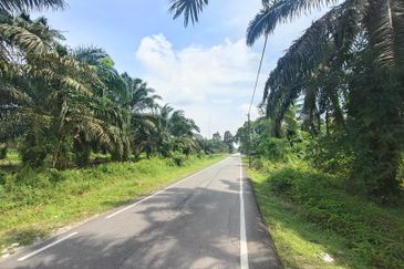 Pontian Ayer Baloi Oil Palm Land For Sale