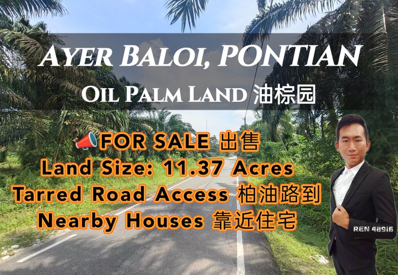 Pontian Ayer Baloi Oil Palm Land For Sale
