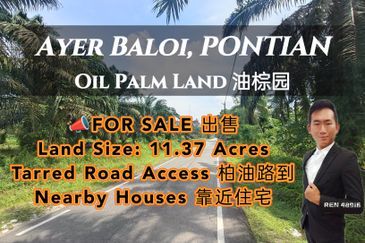 Pontian Ayer Baloi Oil Palm Land For Sale