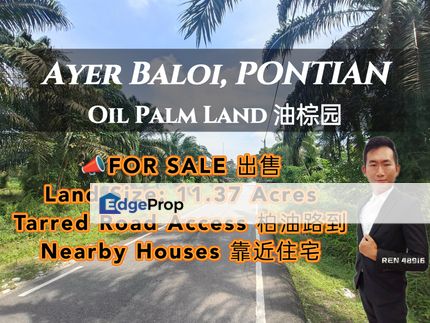 Pontian Ayer Baloi Oil Palm Land For Sale, Johor, Pontian