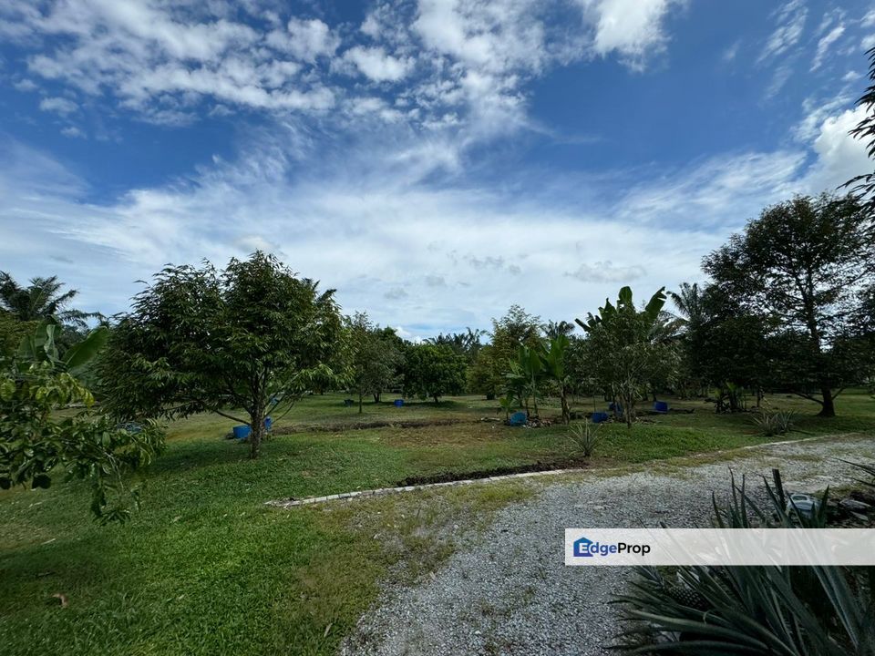 Kukup Durian + House + Oil Palm Land, Johor, Pontian