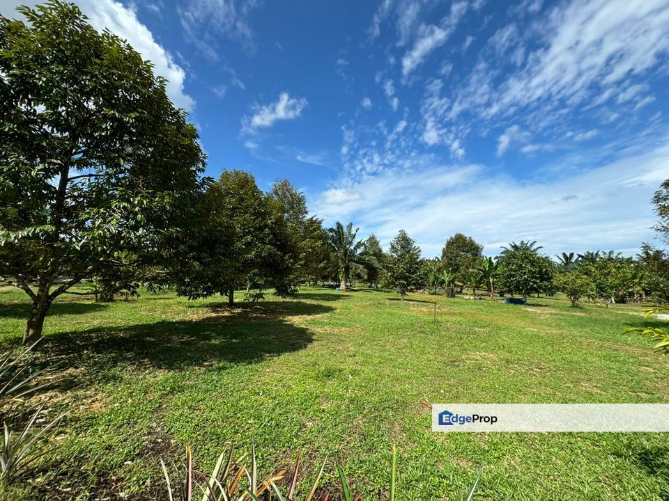 Kukup Durian + House + Oil Palm Land, Johor, Pontian