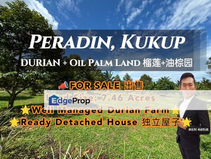 Kukup Durian + House + Oil Palm Land, Johor, Pontian