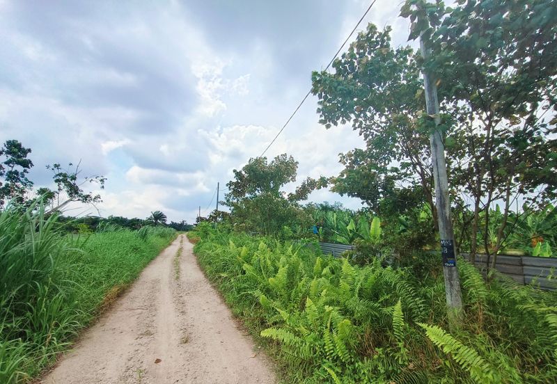 JERAM BATU PEKAN NENAS