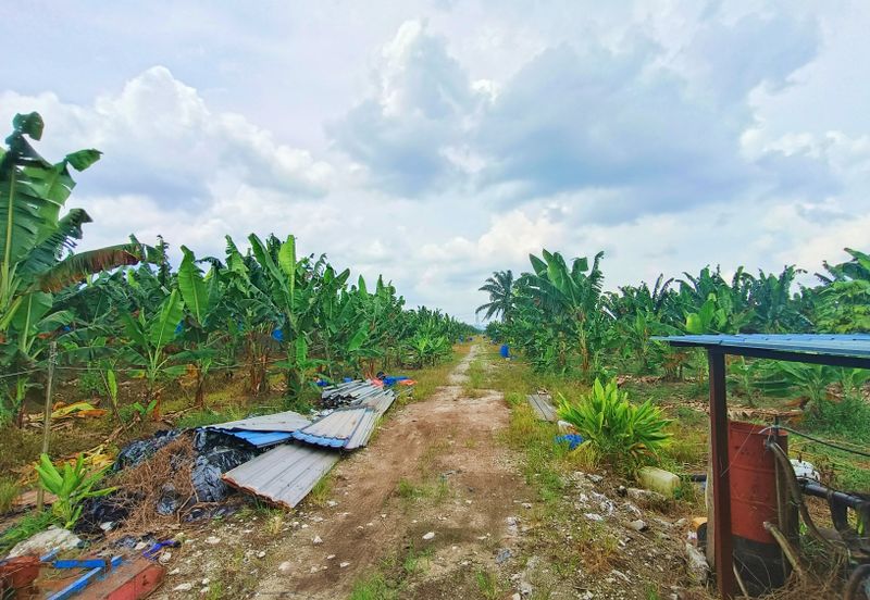 JERAM BATU PEKAN NENAS