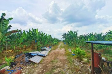 JERAM BATU PEKAN NENAS