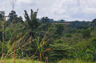 Kawasan Perindustrian Seelong
