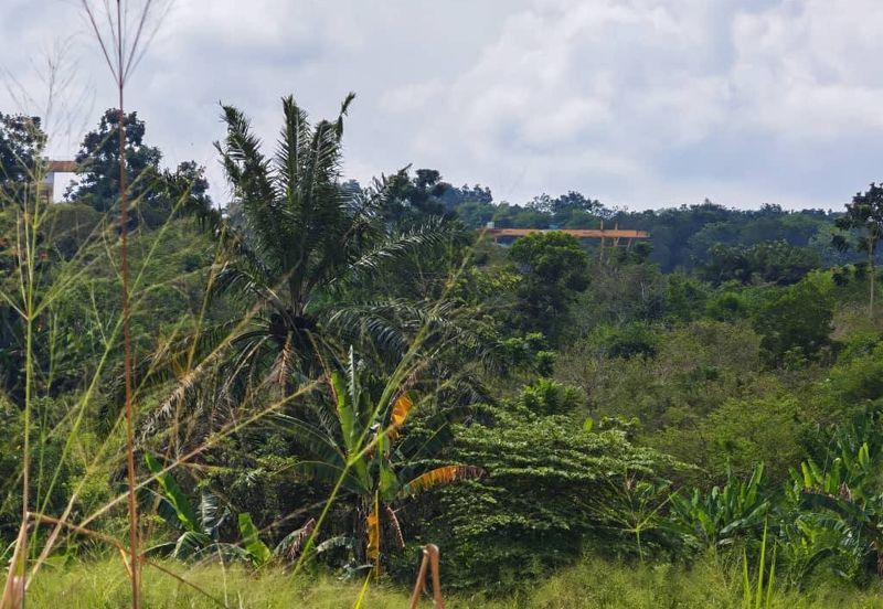 Kawasan Perindustrian Seelong