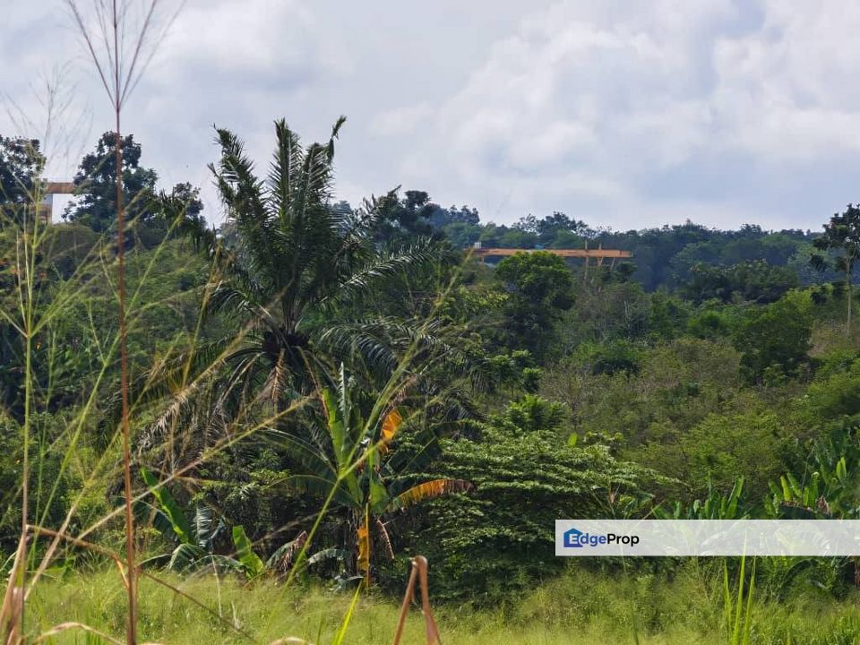 Seelong Zon Industry Land For Sale , Johor, Senai