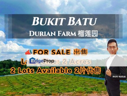 Bukit Batu Durian Farm For Sale , Johor, Kulai