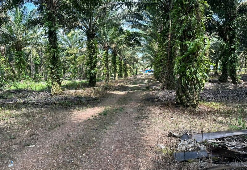 Gelang Patah Zon Residential Land For Sale 