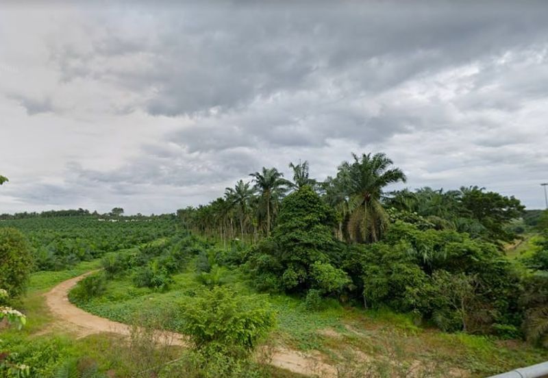 Kulai Zon COMMERCIAL Land For Sale 