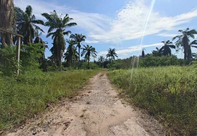 Taman Pontian Perdana