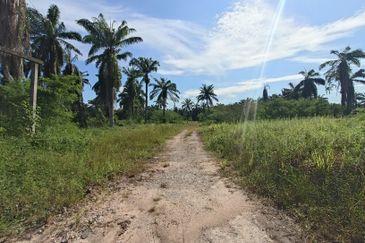 Taman Pontian Perdana