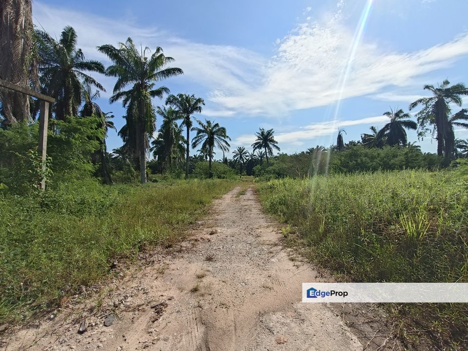 Pontian Bungalow Land For Sale , Johor, Pontian
