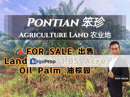 Pontian Oil Palm Land For Sale, Johor, Pontian