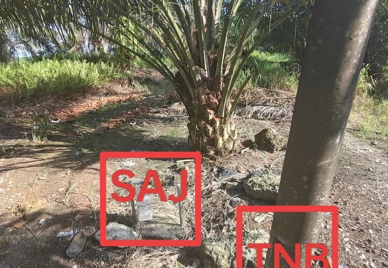 Pontian Oil Palm Land For Sale