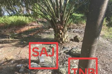 Pontian Oil Palm Land For Sale