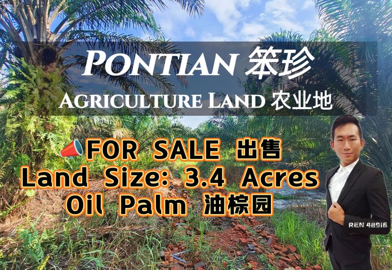 Pontian Oil Palm Land For Sale