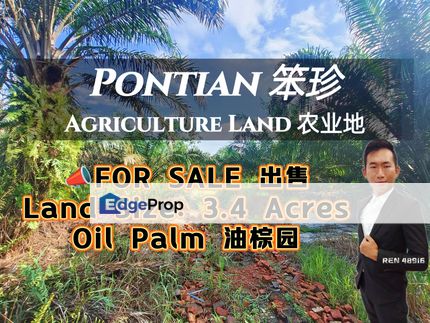 Pontian Oil Palm Land For Sale, Johor, Pontian