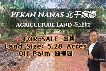 Pekan Nanas Oil Palm Land For Sale