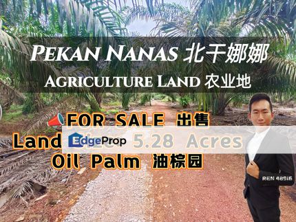 Pekan Nanas Oil Palm Land For Sale, Johor, Pontian