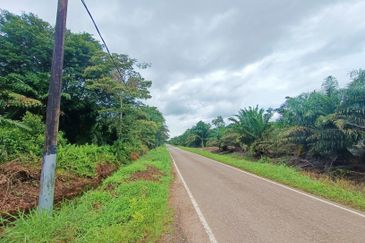 Pekan Nanas Oil Palm Land For Sale