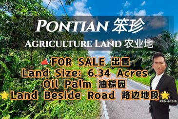 Pontian Road Side Oil Palm Land For Sale