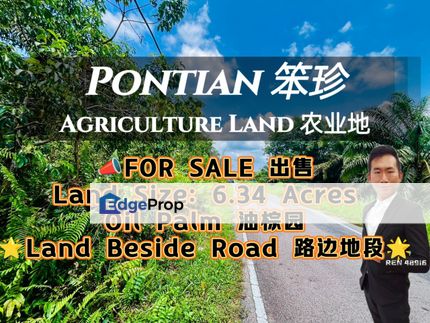 Pontian Road Side Oil Palm Land For Sale, Johor, Pontian