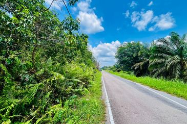 Pontian Road Side Oil Palm Land For Sale