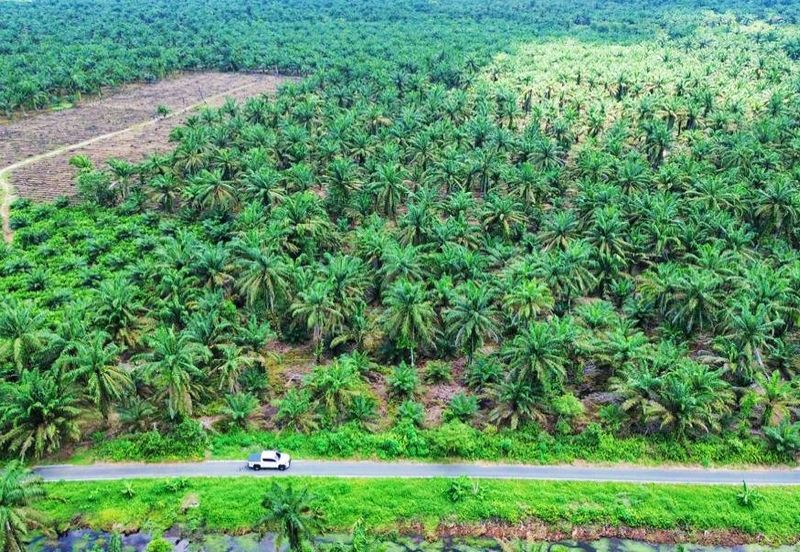 JERAM BATU PEKAN NENAS
