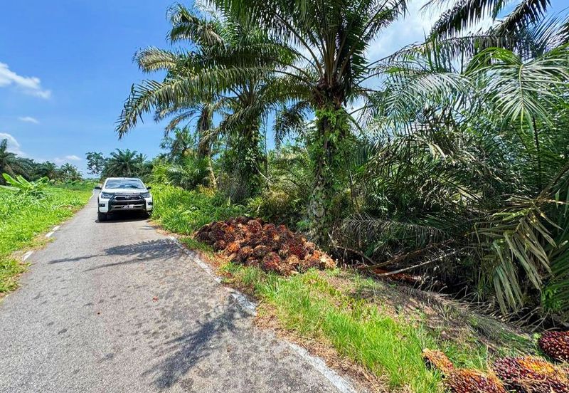 JERAM BATU PEKAN NENAS