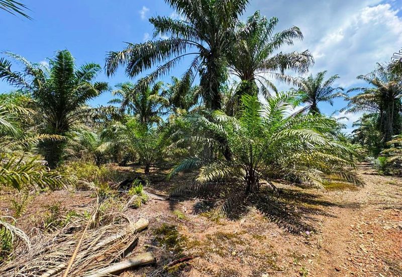 JERAM BATU PEKAN NENAS