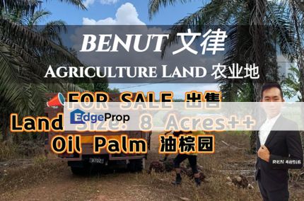Benut (Pontian) Oil Palm Land For Sale, Johor, Pontian