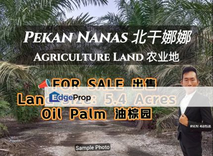Pekan Nanas Oil Palm Land For Sale, Johor, Pontian