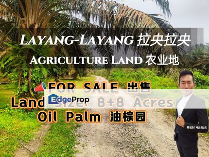 Layang-Layang Oil Palm Land For Sale , Johor, Kluang