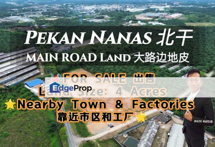 Pekan Nanas Land Beside MAIN ROAD For Sale, Johor, Pontian