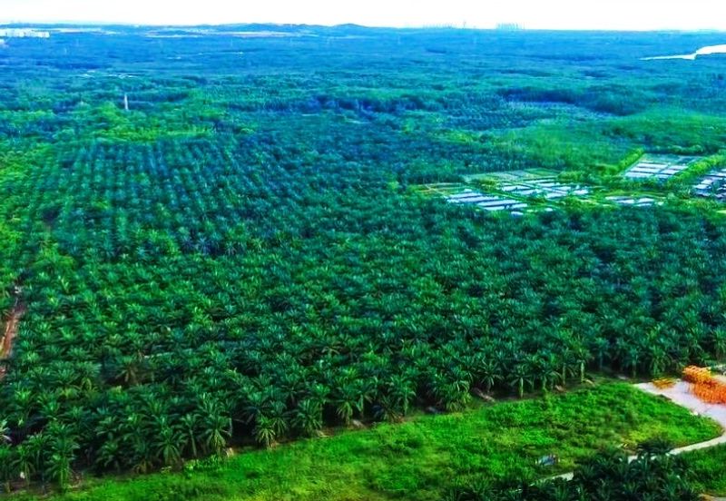 Gelang Latah Ulu Choh Zon Industry Land For Sale 