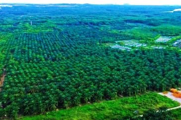 Gelang Latah Ulu Choh Zon Industry Land For Sale 