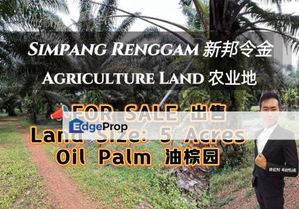 Simpang Renggam Oil Palm Land For Sale, Johor, Kluang