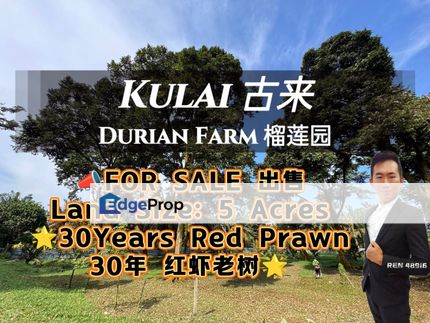 Kulai 30 Years Durian Farm For Sale, Johor, Kulai
