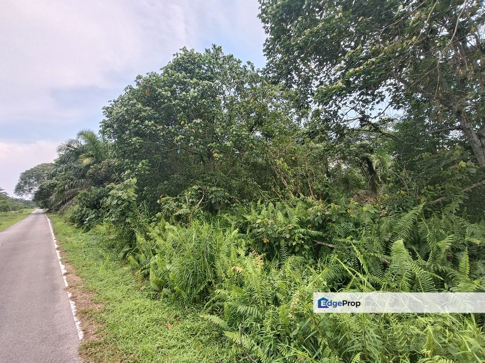 Kukup Road Side Agriculture Land For Sale , Johor, Pontian