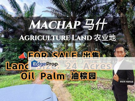 Machap , Simpang Renggam Oil Palm Land For Sale , Johor, Kluang