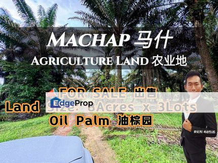 Machap Simpang Renggam Oil Palm Land For Sale , Johor, Kluang