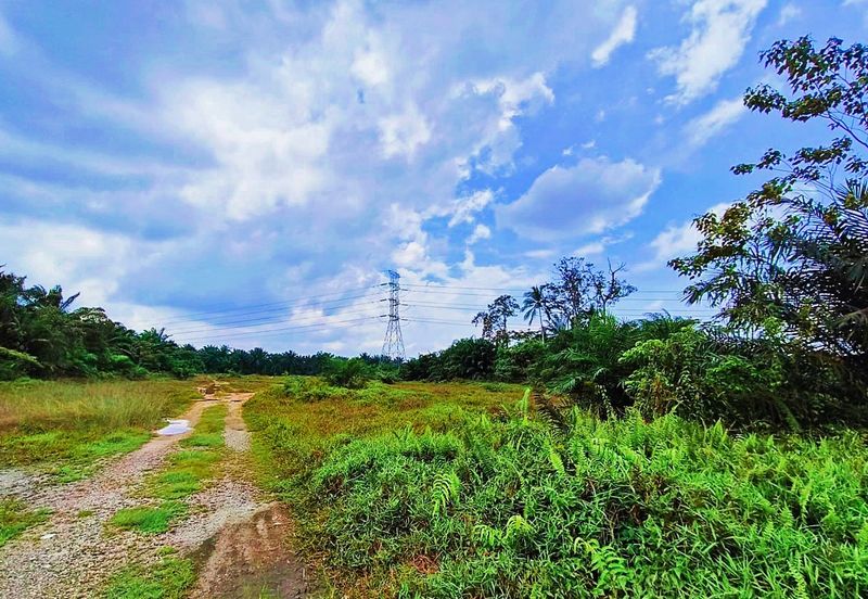 Pontian MAIN ROAD Land Nearby Factory