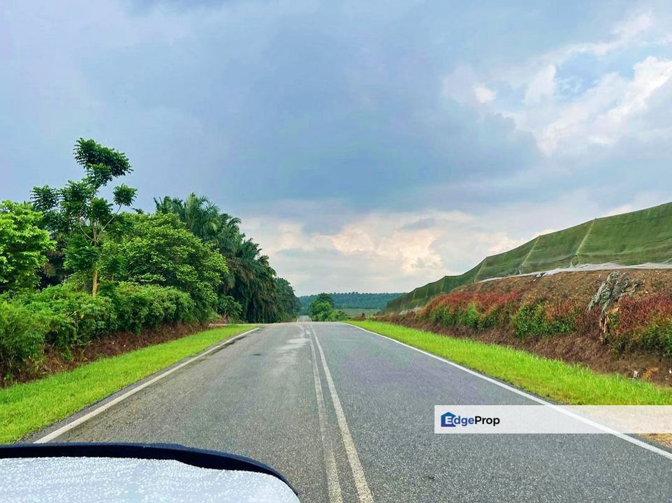 Seelong Roscote Main Road Oil Palm Land For Sale, Johor, Senai