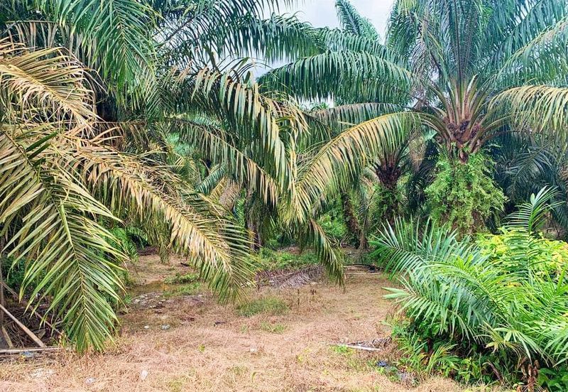 Empire Park @ Kulai, Jalan Lagenda 1, Kulai, Johor