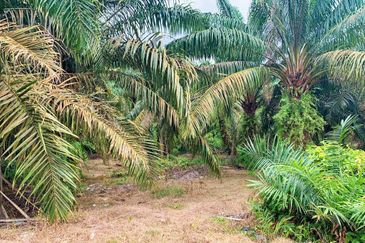 Empire Park @ Kulai, Jalan Lagenda 1, Kulai, Johor