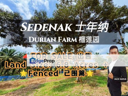 Kulai Sedenak Durian Farm For Sale , Johor, Kulai