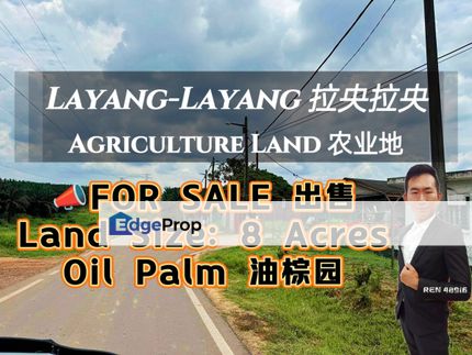 Layang-layang Oil Palm Land For Sale, Johor, Kluang